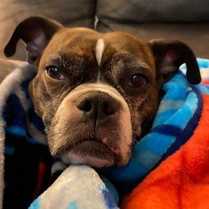 Meet your Posher, Morgan